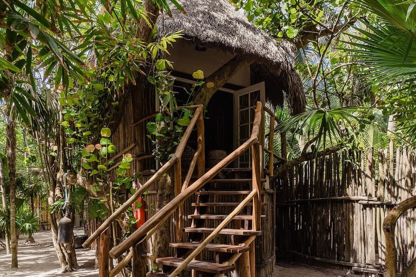 Treehouse design