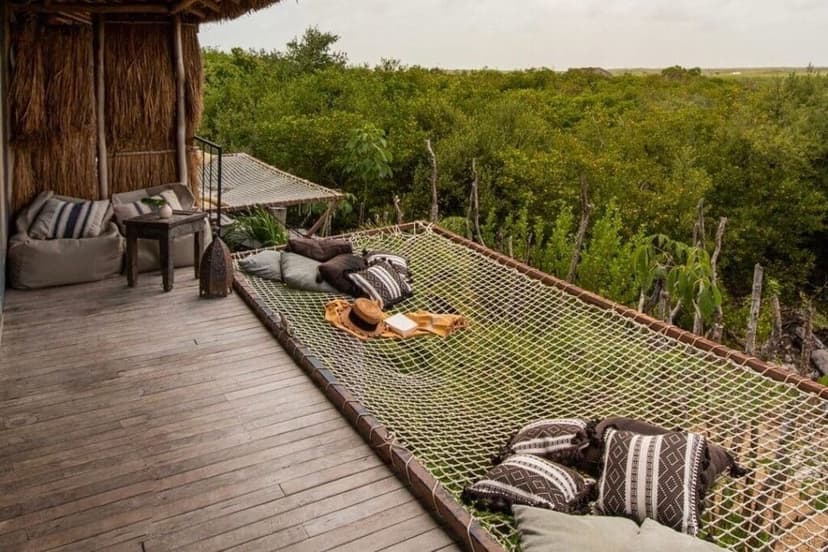 View from treehouse